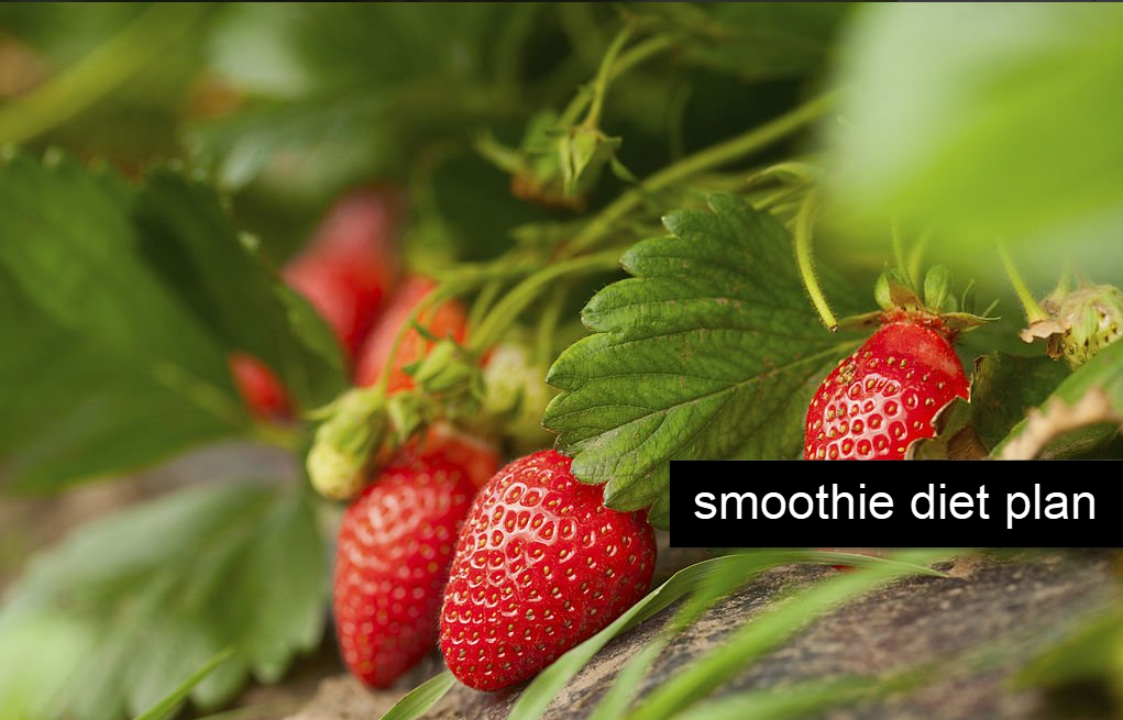Healthy Classic Strawberry Smoothie Recipe for Weight Loss